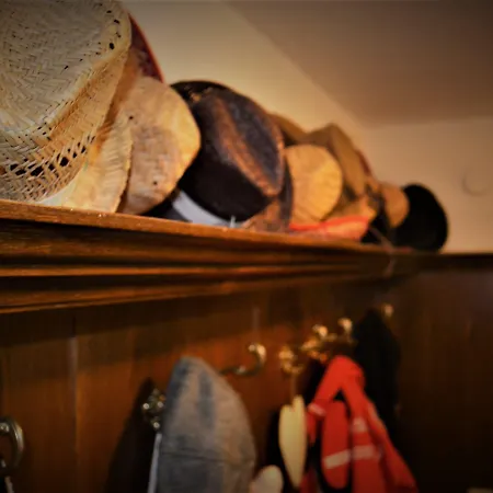 Haus Susanne Maison d'hôtes Radstadt