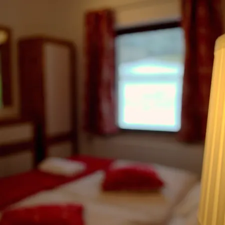 苏珊娜之家宾馆 3* 拉德施塔特