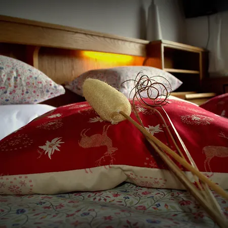 苏珊娜之家宾馆 招待所 拉德施塔特