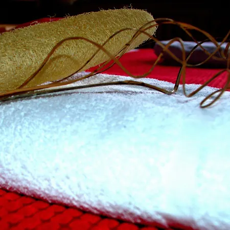 Haus Susanne Maison d'hôtes 3*