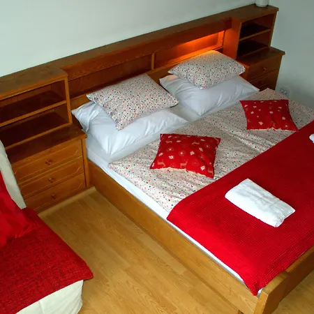 招待所 苏珊娜之家宾馆 拉德施塔特