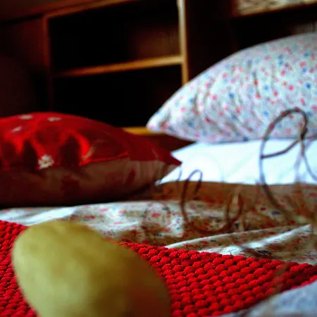 苏珊娜之家宾馆 3* 拉德施塔特