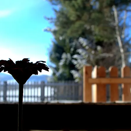 苏珊娜之家宾馆