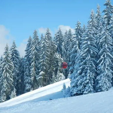 招待所 苏珊娜之家宾馆