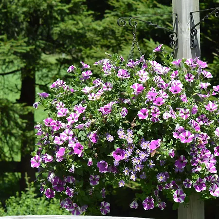 Maison d'hôtes Haus Susanne 3*