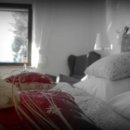 Haus Susanne 3* Radstadt