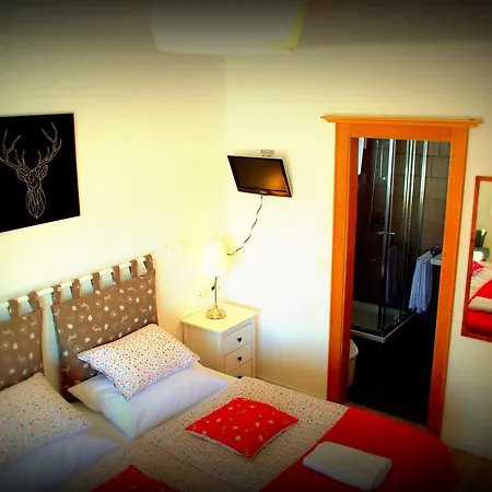 Haus Susanne Guest house 3*