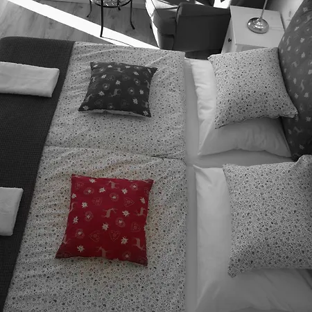 Haus Susanne Guest house Radstadt